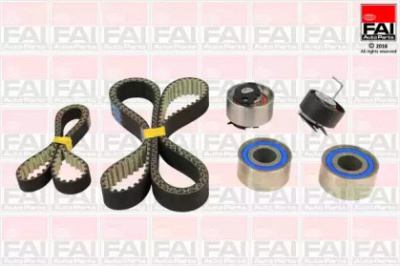 FAI AUTOPARTS tbk542 -  Комплект ремня ГРМ